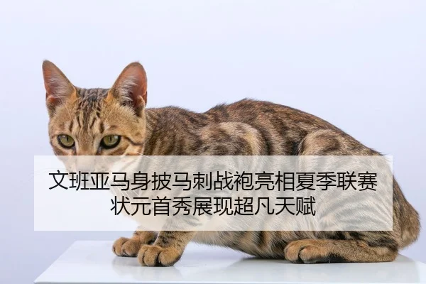 文班亚马身披马刺战袍亮相夏季联赛 状元首秀展现超凡天赋